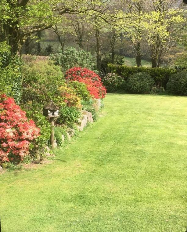 Bed and Breakfast Knole Farm Okehampton Habitación foto